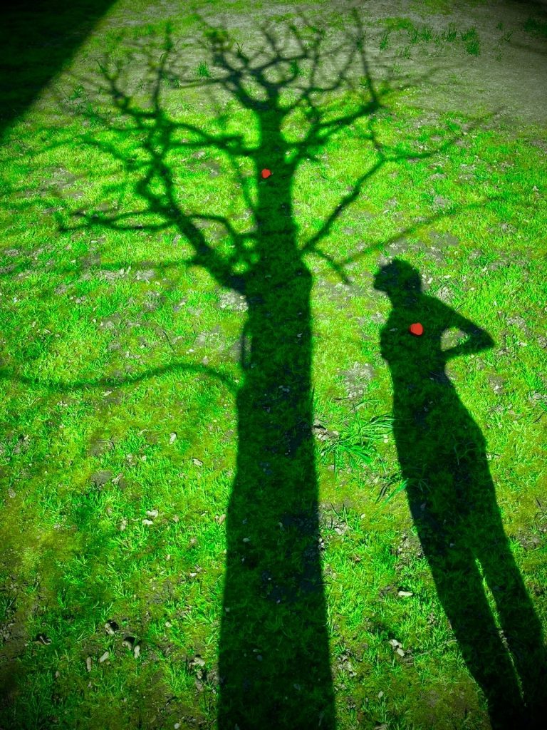 Shadows on grass. Shadow person with red squishy heart placed on chest looks up at a shadow tree with red squishy heart placed on trunk