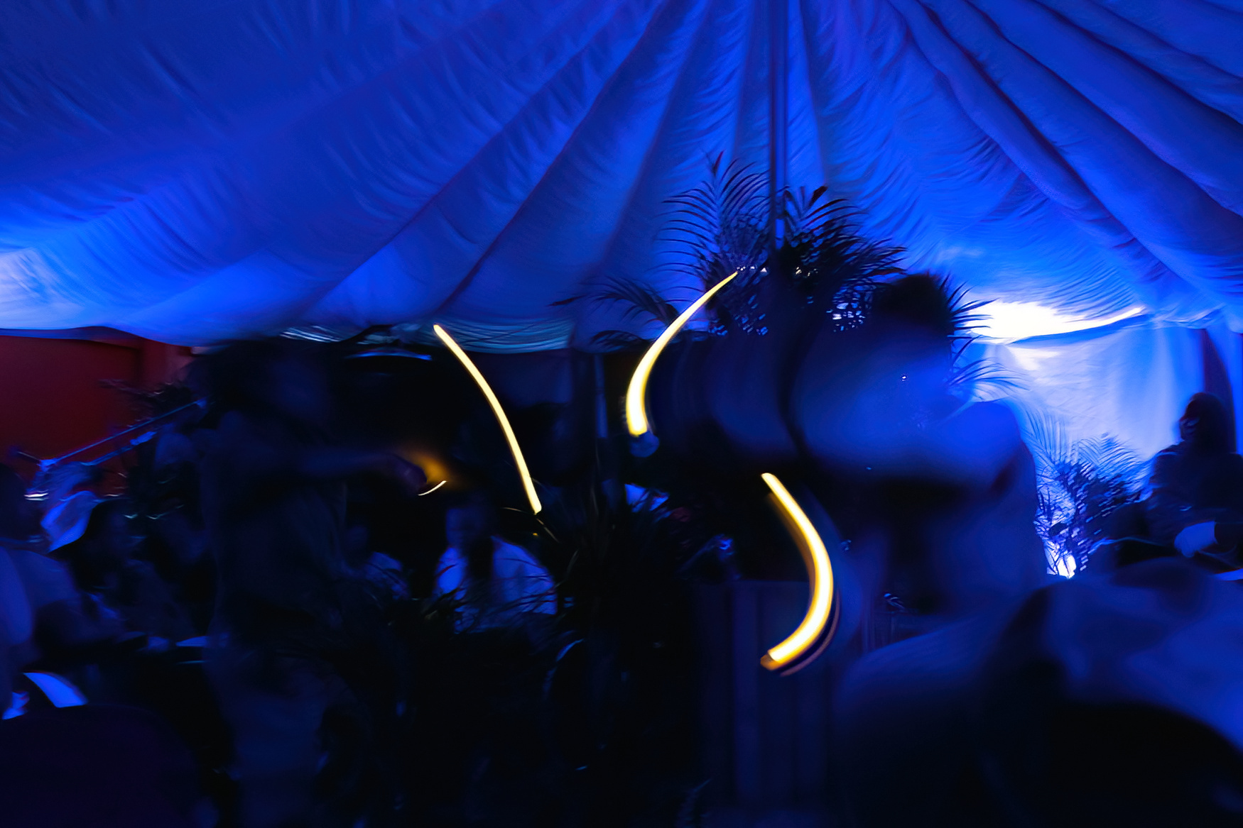 Performance tent cast in deep blue light. The textured, billowing tent roof, large central plants and audience are dimly visible. The performers wave small lights through the air. The longer exposure of the camera means these fireflies leave a light trail that captures their flight through the air.
