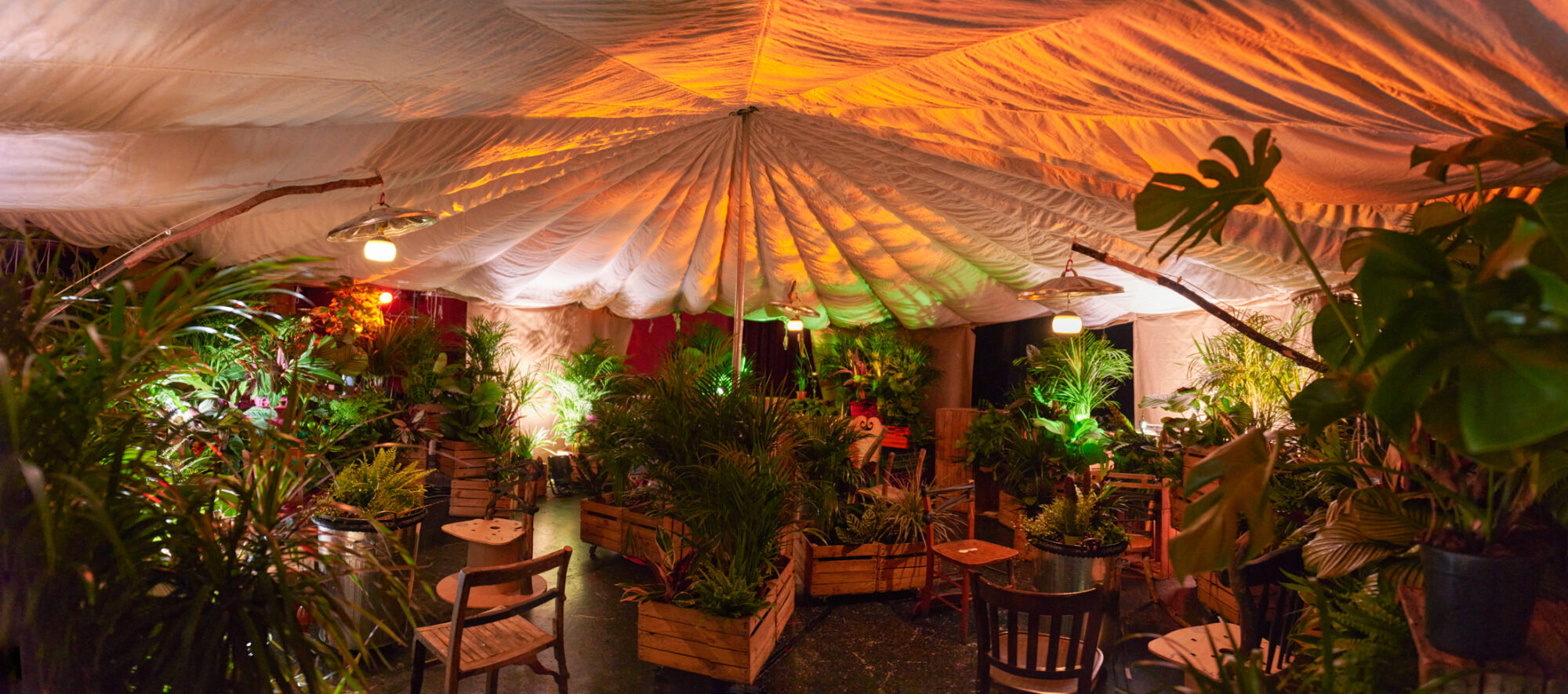 A panoramic view of the When the World Turns performance space, which is inside a circular tent shape. Textured, billowing cream tent material hangs overhead, held up a central pole. Wooden and plastic crates and metal bins filled with plants circle the pole, the perimeter of the space and are dotted in amongst wooden chairs. Some are lit by yellow light. Wooden fishing rods emerge behind leaves, with glowing lamps underneath metal bin lids hanging from them.
