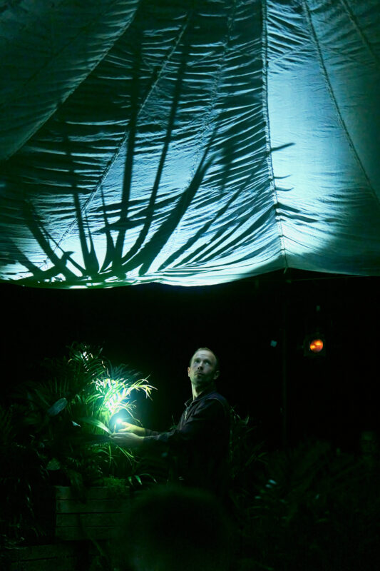 The shadow of leaves on a parachute tent roof. A performer underneath holds a torch beneath a plant.