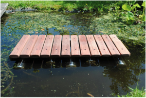 A marimba (a percussion instrument consisting of a set of wooden bars) floats in a pond of dark water. The pond weed covers the surface of the water and green vegetation grows at its edges.