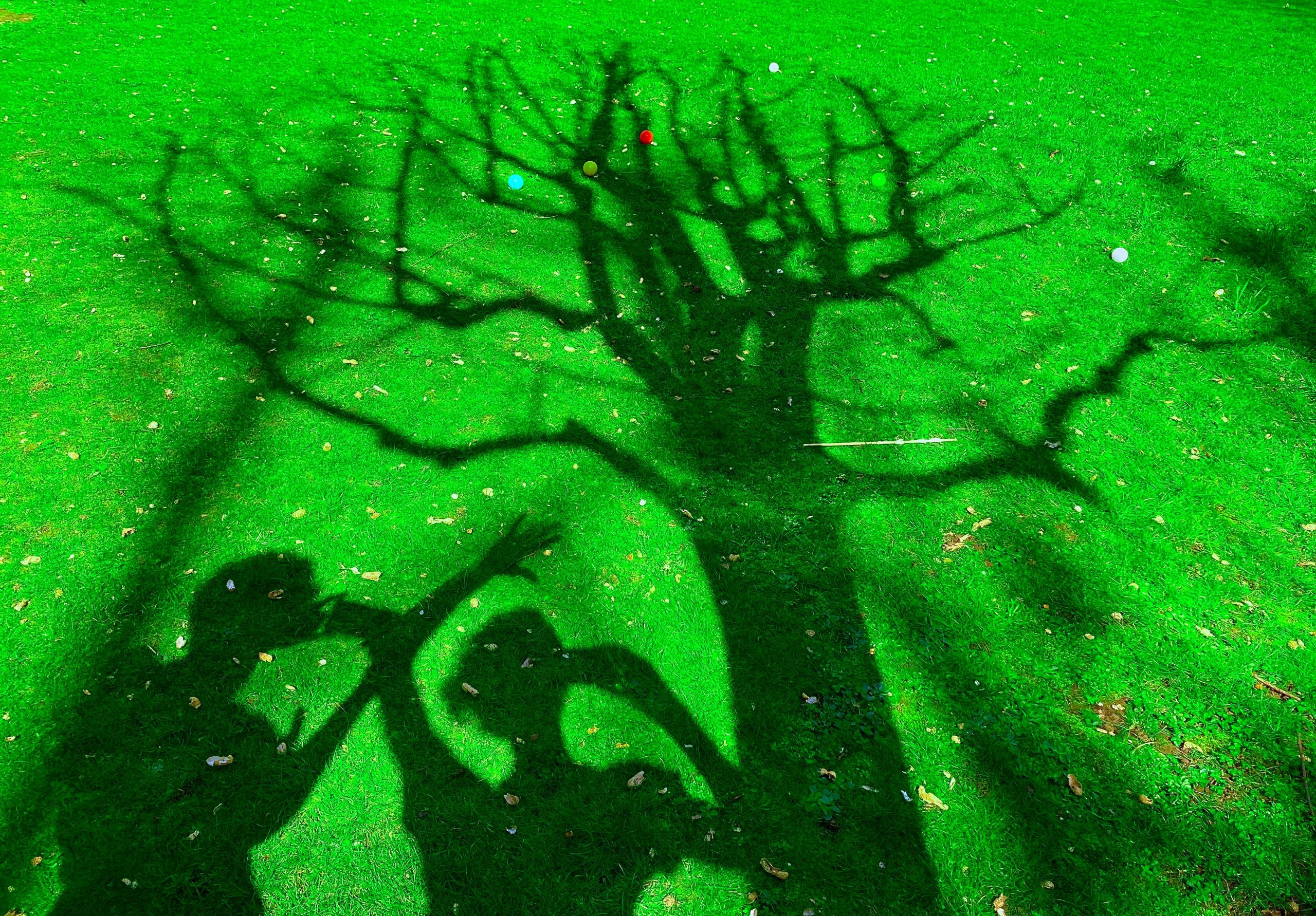 Shadow of tree with bare branches falls on green grass. The shadows of two figures making shapes with their arms sit beneath the tree.