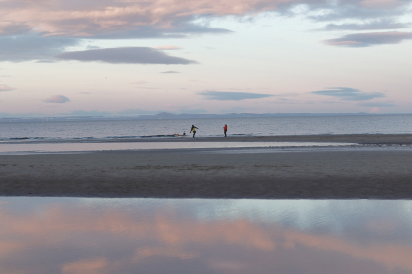 Two people play with their dogs on a sandy beach under a light pinky blue cloudy sky at sunset. There are reflections of the clouds and pink sky in a watery pool on the beach. It's cold out so the people wear bright jackets. One is throwing something into the sea.