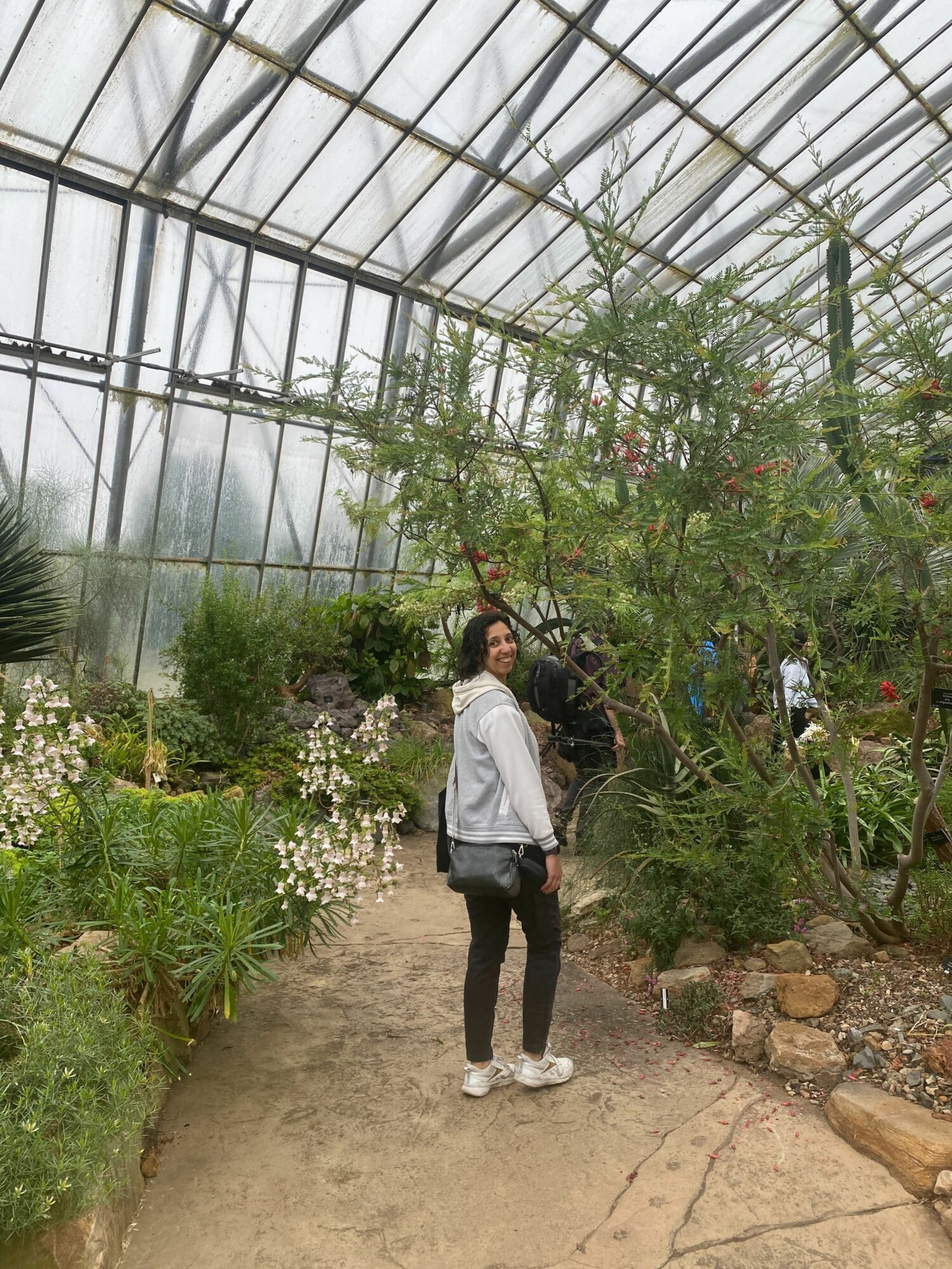 Maka is a Latinx in their 30s, with a short brown hair, and wearing a grey hoodie and jeans. Maka looks over their shoulder at the camera smiling. They are on a path in a greenhouse during filming for A World Beneath Us. Trees and plants surround them and condensation-covered windows are in the background.