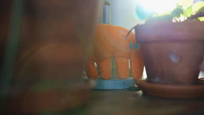 A soft, orange stuffed shape - like a cuddly toy except it's an abstract shape. It's hidden, tucked inbetween two plant pots and a window, with sunshine streaming through.