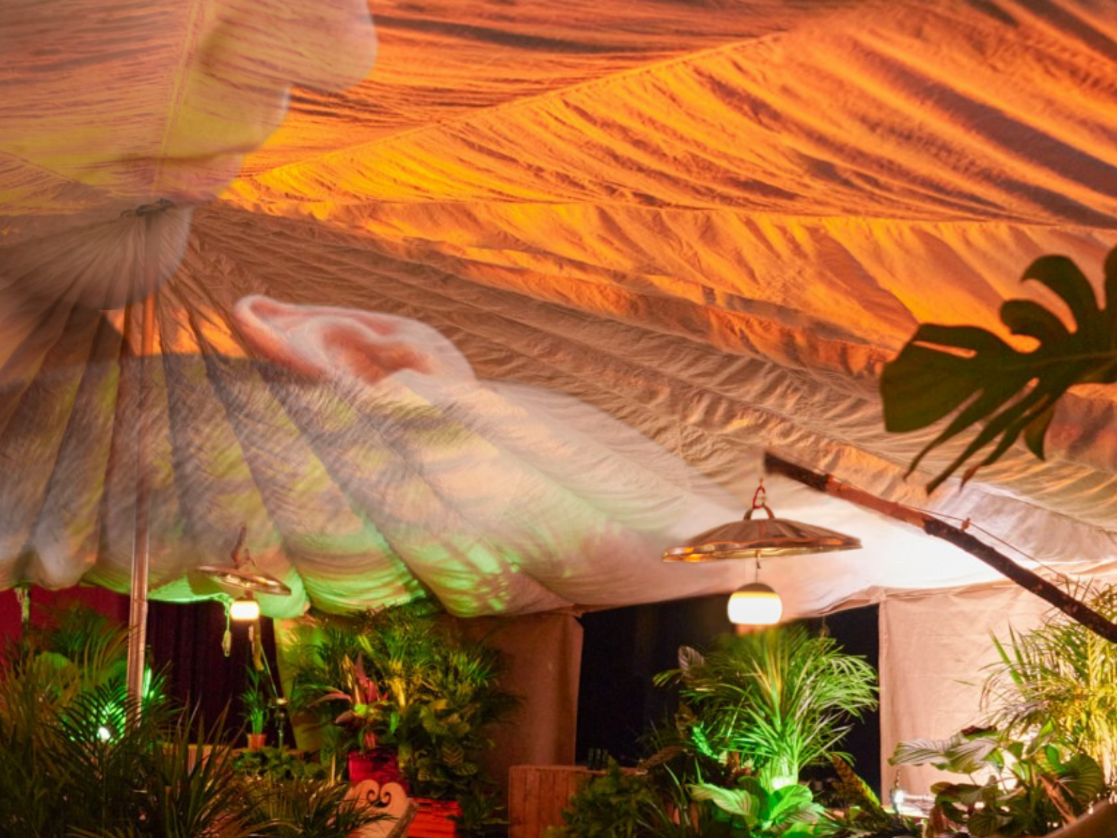 A textured, billowing cream tent canopy hangs overhead. Plants reach up from underneath, their leafy shadows dappling the material. A dreamy, faded close-up of a person’s mouth, near to another person’s ear, is just visible, blended into the tent roof.
